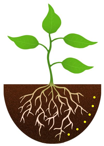 Image result for Roots Compressor Animation