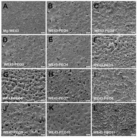 Improved In Vitro Test Procedure for Full Assessment of the ...
