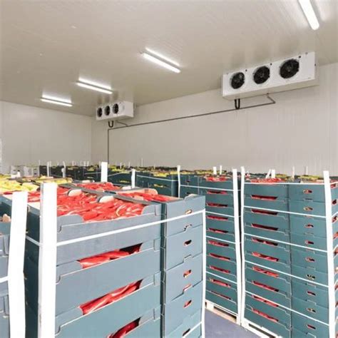 Cold Storage Pre Project Consultancy - Cold Storage Consultant Trader ...