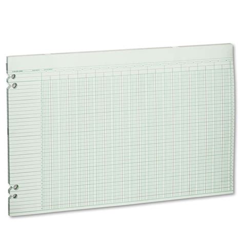 Wilson Jones Accounting Sheets, 36 Columns, 11 x 17 Inches, Green, 100 ...