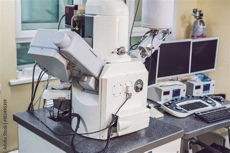 Image result for Scanning Electron Microscope Images