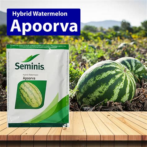 Buy Watermelon Seeds Online – Agriplex