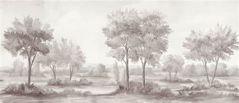 Testimonial – Life n Colors