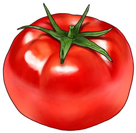 Image result for Computer Science Subsets