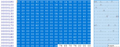 Portable Executable Structure 的图像结果