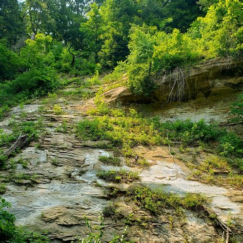 Shades State Park & Pine Hill Nature Preserve - 6-4-2023 : r/hoosierhikes