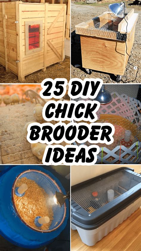 Image result for Making a Chick Brooder