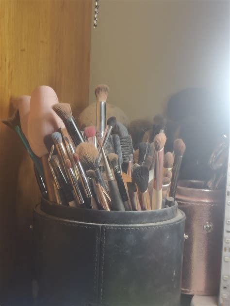 Thanks, I hate my sister's makeup brush collection that hasn't been ...