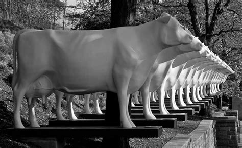 Image result for Principles of Design Repetition Examples