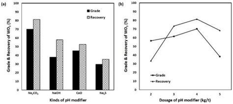 Laboratory Testing of Scheelite Flotation from Raw Ore in Sangdong Mine ...