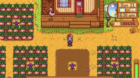 How to Get Summer Squash in Stardew Valley - Siliconera