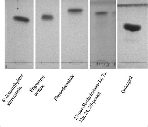Identification of matrix metalloproteinases inhibitors from methanol ...