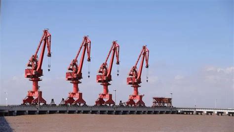 浙江头门港经济开发区五星金属贸易中心揭牌，助推港口发展