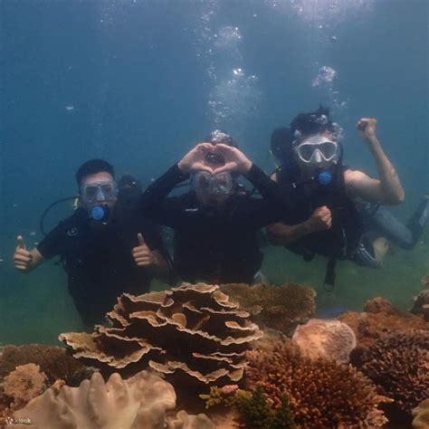 Explore the Underwater World of Pearls in Nha Trang - Klook India