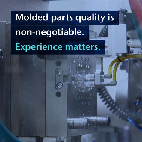 Schott MiniFAB Microarray 的图像结果