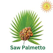 Buy JIVAN SHREE WITH DEVICE OF SHREE Prostate Formula For Healthy ...