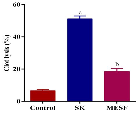 Chemical Profiling, Pharmacological Insights and In Silico Studies of ...
