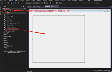 AForge.NET Camera Tutorial VB.NET 的图像结果