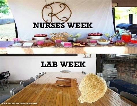 Image result for Appropriate Lab Humor