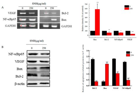 Influence of Sodium New Houttuyfonate as a New EGFR-TK Inhibitor on the ...