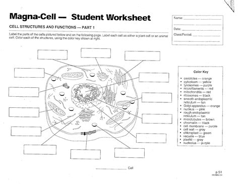 Cell Structure Worksheet PDF 的图像结果