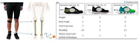 Shock Acceleration and Attenuation during Running with Minimalist and ...