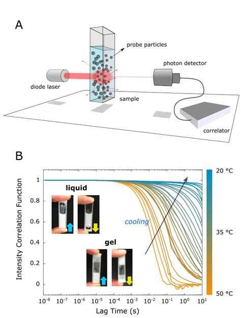 Image result for Diffusing Wave Spectroscopy