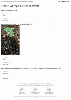 cycle of the lotus flower trivia koloa jodo flowers and their cycles worksheet answer key best cycle of the lotus flower trivia koloa jodo flowers and their cycles worksheet answer key best