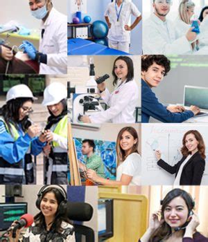 Image result for MSA Programs Requirements