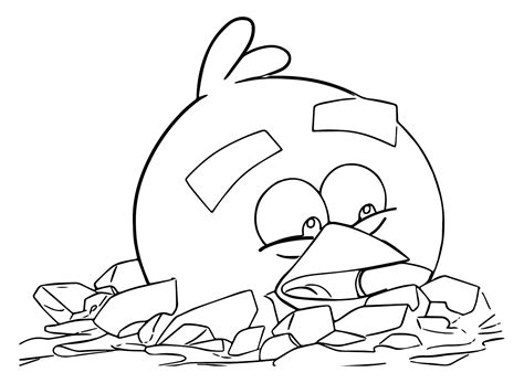 Image result for Angry Bird Color Pages