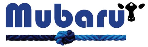 FROZEN BUFFALO OFFAL – Kidney - FROZEN BUFFALO MEAT