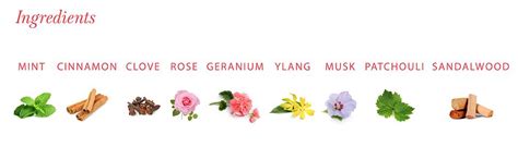 Yardley London Royal Red Roses Perfumed Talc| Fragrant Beauty Talc for ...