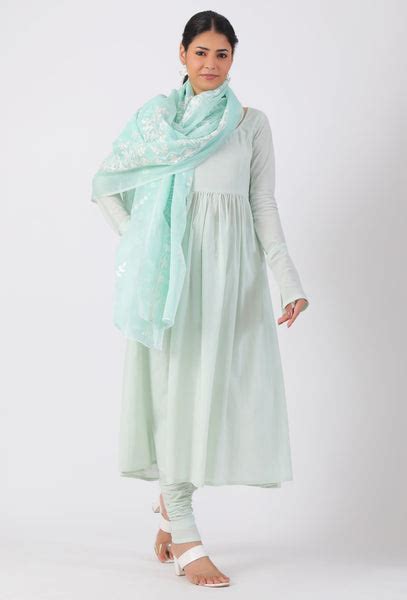 Ice Blue Chickoo Net Dupatta – TJORI