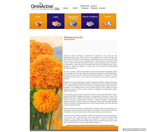 Galagali Multimedia Pvt. Ltd.- Web Design and Web Development in Mumbai ...