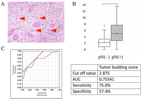 The Chart Diagnostic System Improves the Diagnostic Accuracy of ...