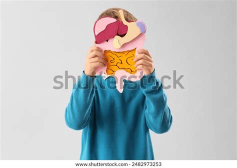 Image result for Child Digestive System