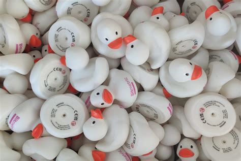 Image result for Debugging Duck Python