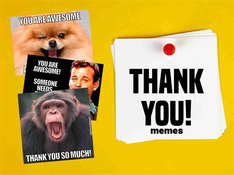 25 Thank You Memes That Speak Louder Than Sending A Card