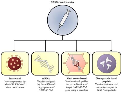A Systematic Review on COVID-19 Vaccine Strategies, Their Effectiveness ...