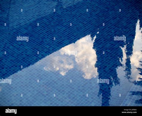 Image result for DIY Reflection Pool