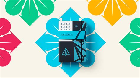 Data Notebook 的图像结果