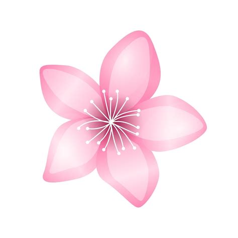 Cherry blossom clipart Images - Free Download on Freepik