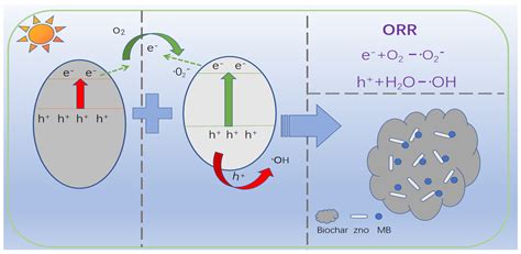 Research on the Preparation of Biochar from Waste and Its Application ...