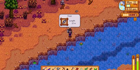 Stardew Valley: How to Catch a Chub