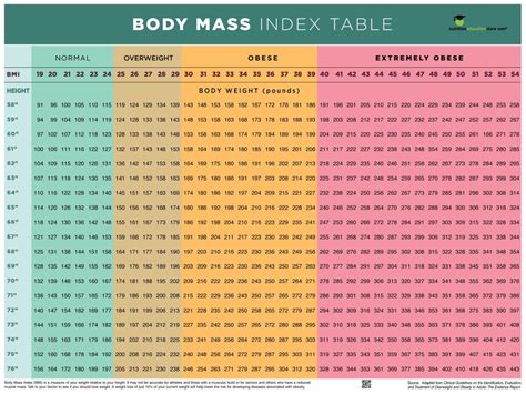 Buy BMI Poster - BMI Chart Poster - Body Mass Index Poster - 18" X 24 ...