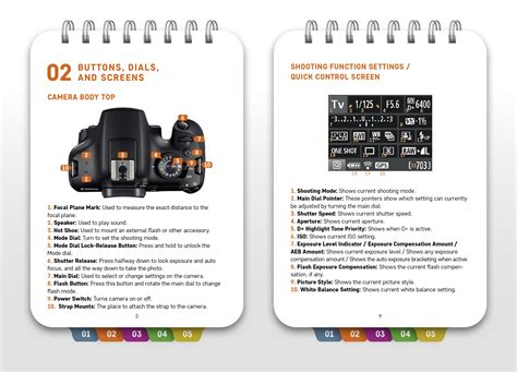 Canon EOS T7 Tutorial 的图像结果