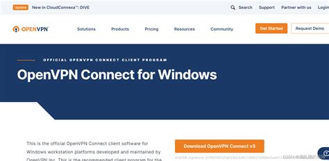 OpenVPN Project 的图像结果