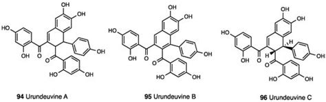 From Plant to Chemistry: Sources of Active Opioid Antinociceptive ...