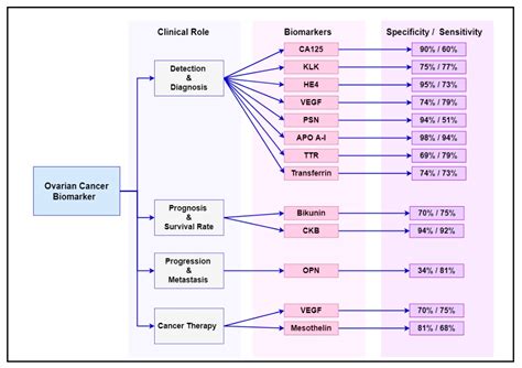 Ovarian Cancer Biomarkers | Encyclopedia MDPI