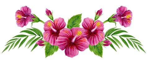 Hawaiian Flowers Drawings